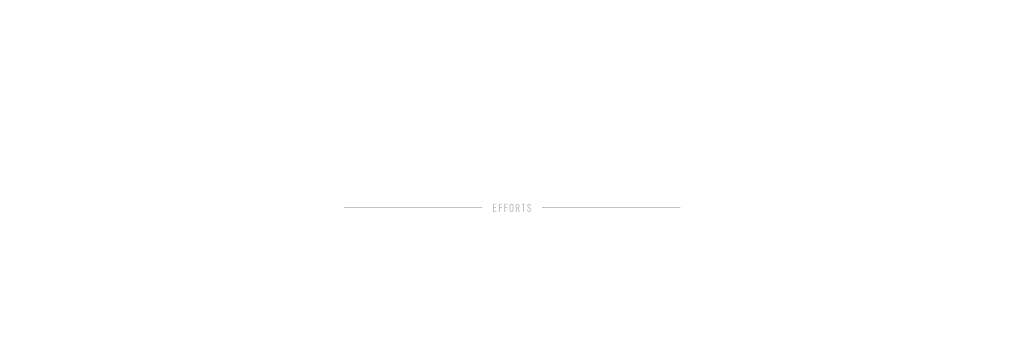 取り組み